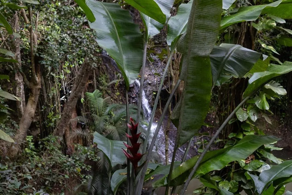 Adventurers Inn Micoud 0*,  Saint Lucia