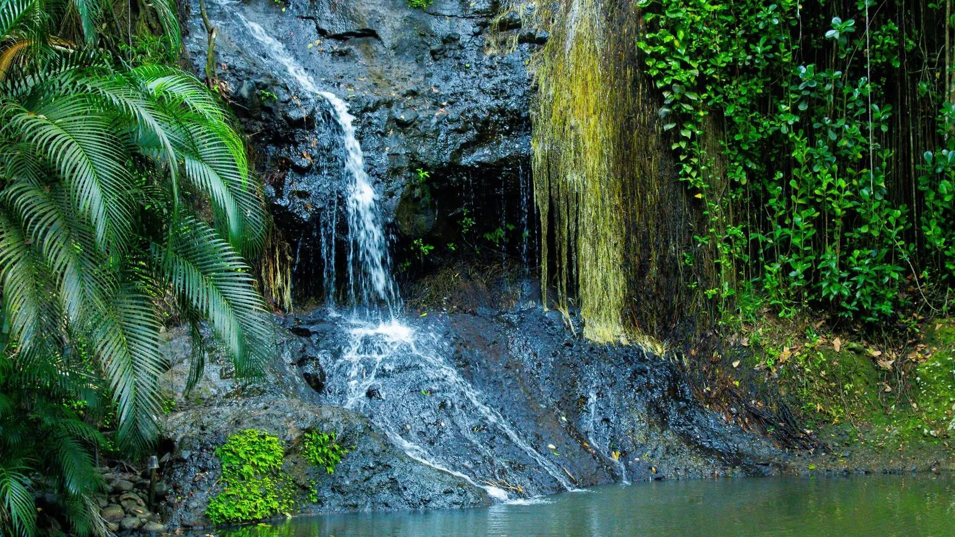 Adventurers Inn Micoud Saint Lucia